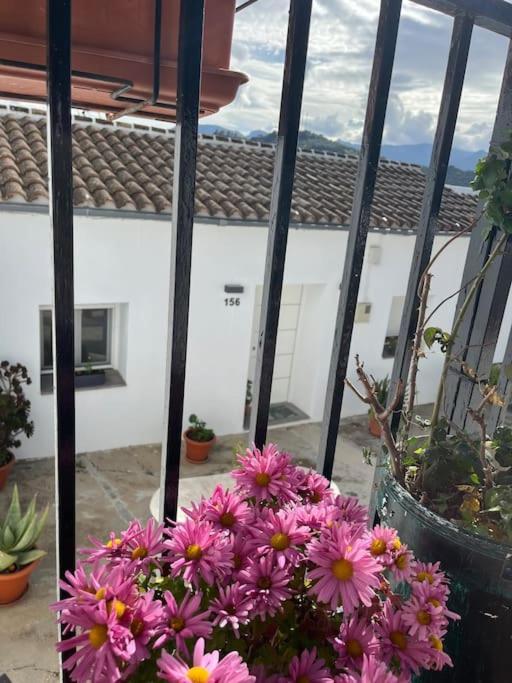 Casa La Fuente Alta Villa Algodonales Luaran gambar